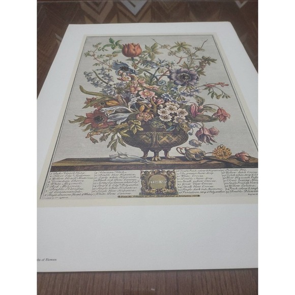 Rob Furber Gardiner At Kensington 1730 H. Fletcher "February" Month Of Flowersm. - Picture 7 of 7